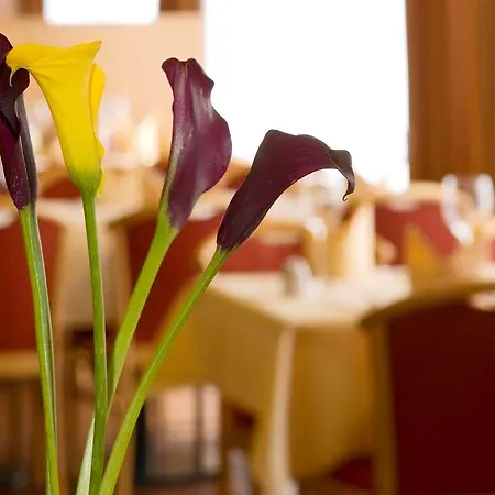 酒店 Muehlenhotel Halle-leipzig 4*
