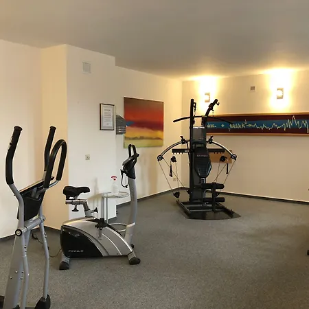 酒店 Muehlenhotel Halle-leipzig 4*