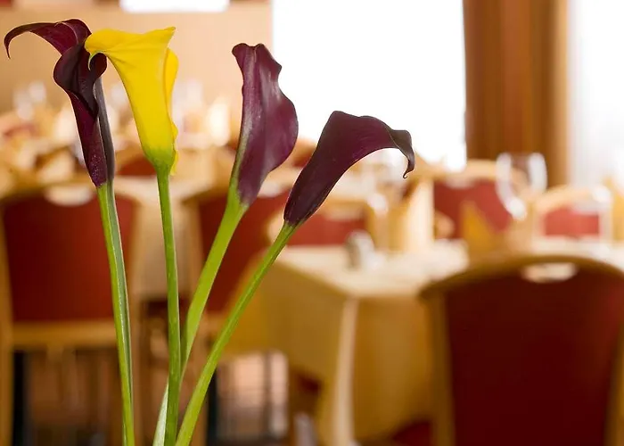 ホテル Muehlenhotel Halle-leipzig 4*