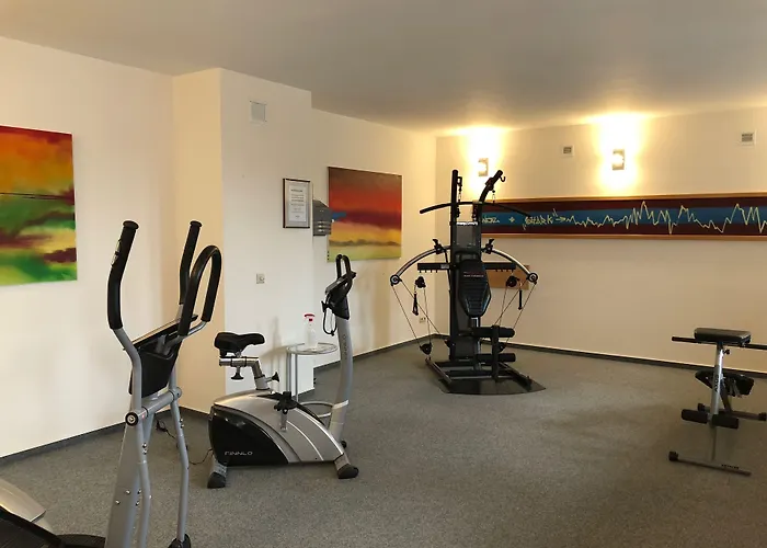 ホテル Muehlenhotel Halle-leipzig 4*