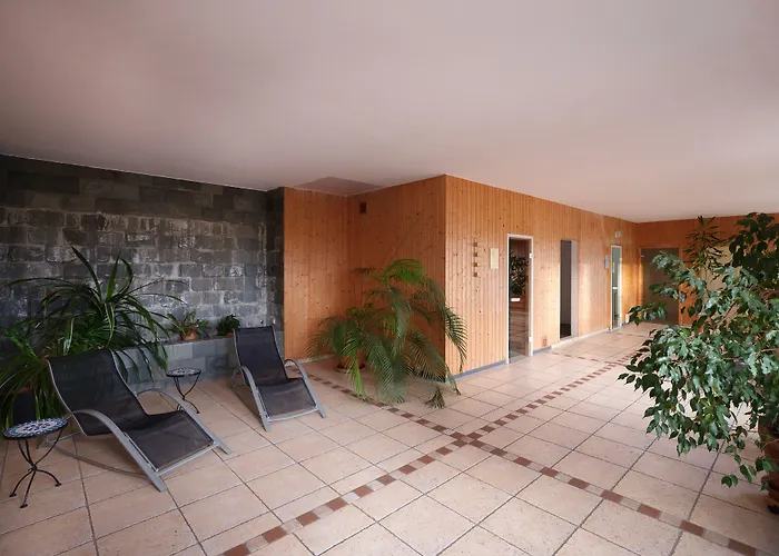 ホテル Muehlenhotel Halle-leipzig 4*