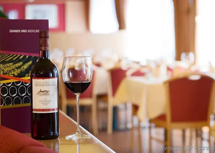 ホテル Muehlenhotel Halle-leipzig