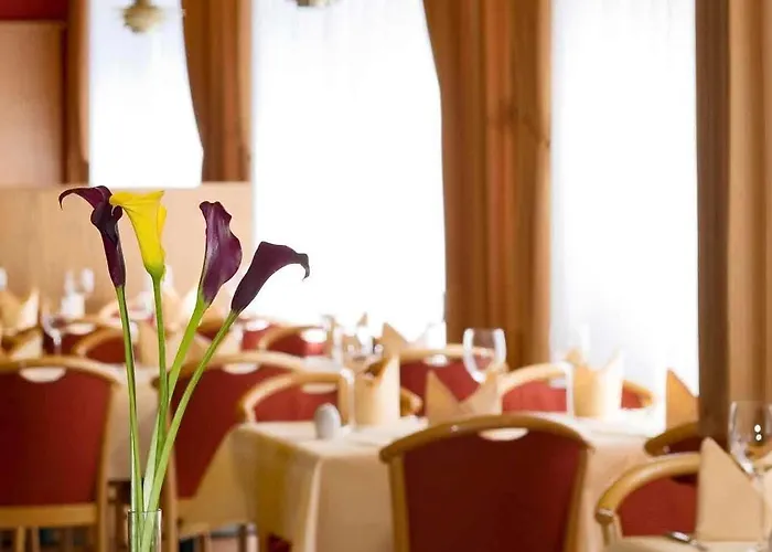 Muehlenhotel Halle-leipzig Hotel Landsberg (Saxony-Anhalt)